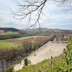 23-03-17 12-09-27 4901